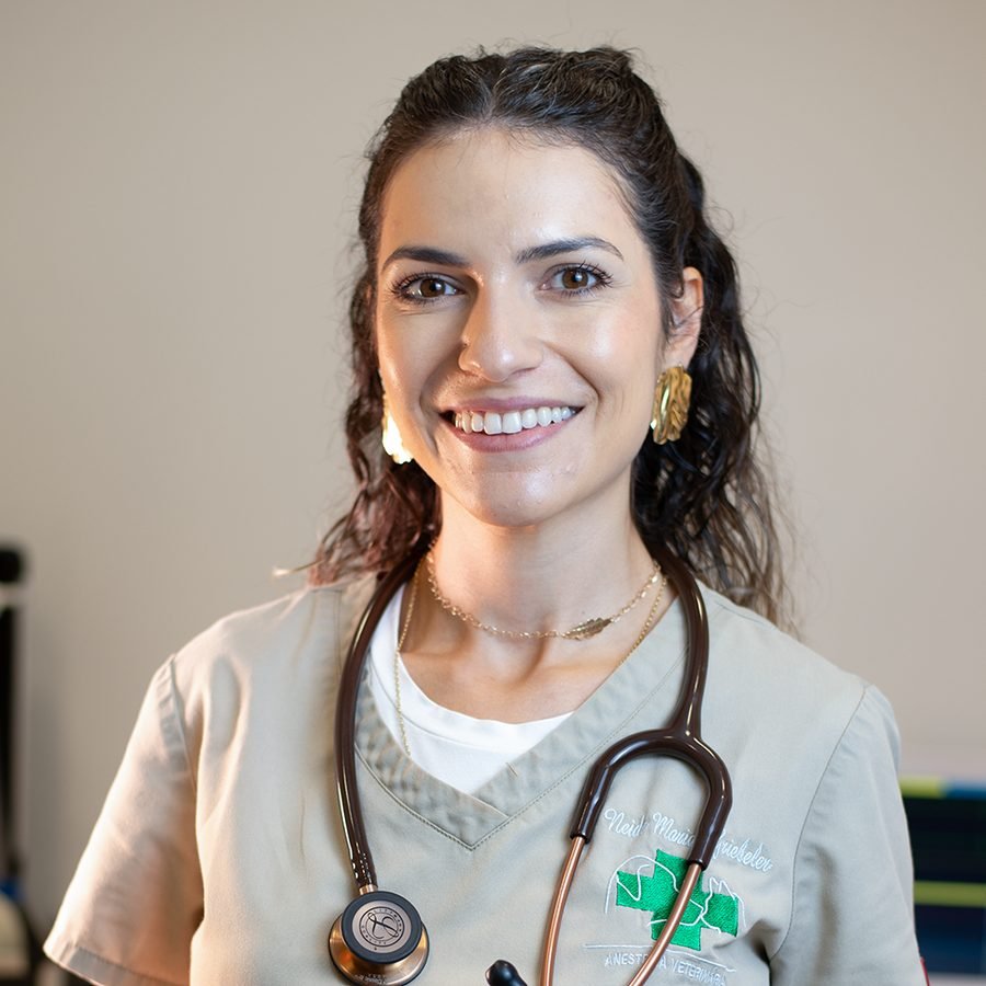 M.e. Neide Griebeler, médica-veterinária especialista em anestesiologia veterinária